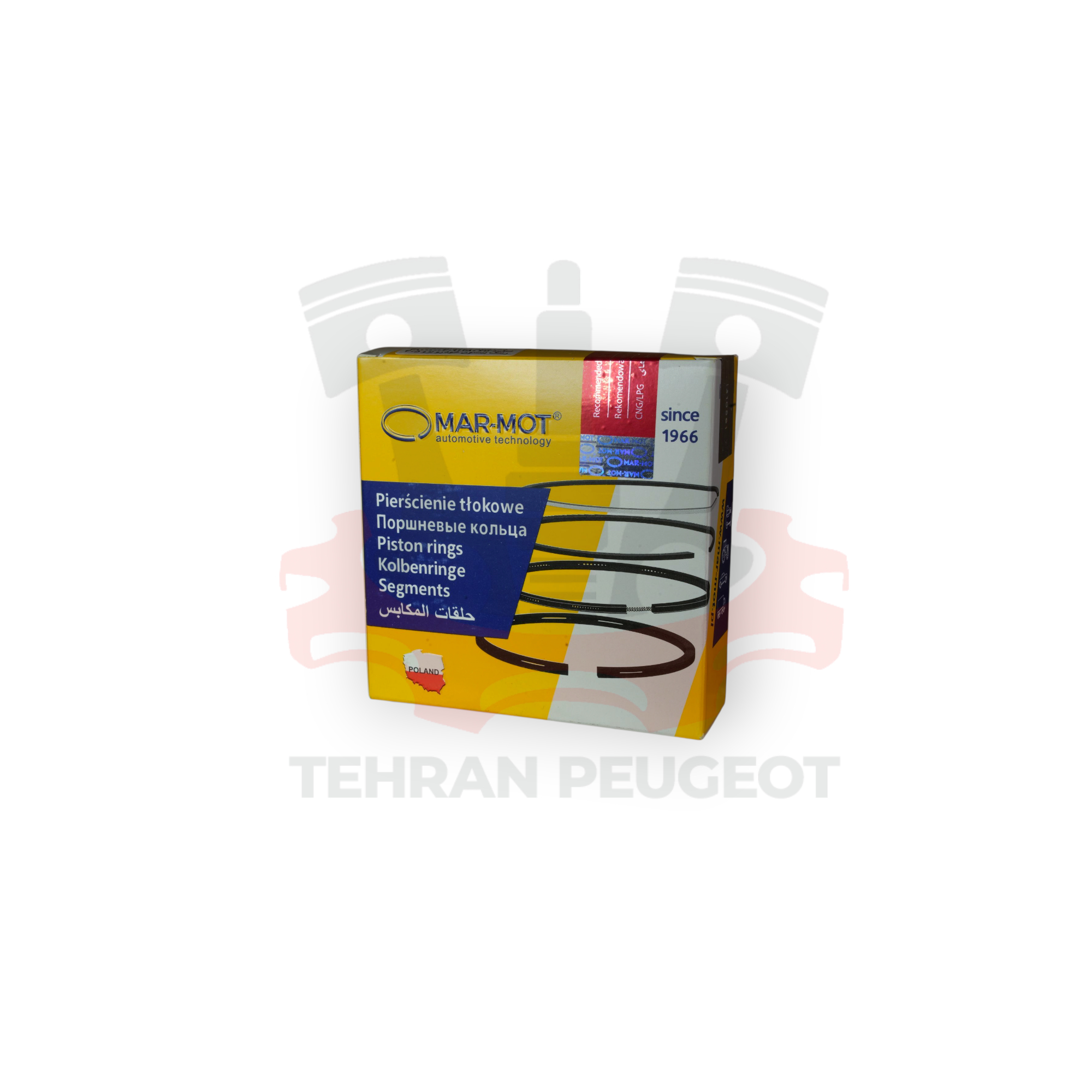 رینگ تیبا 0/50 مارموت